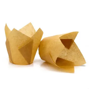 72ct5ot4gww0o84okwgcck00gog4o0